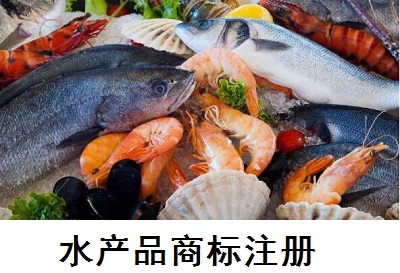 水產(chǎn)品商標(biāo)注冊(cè)