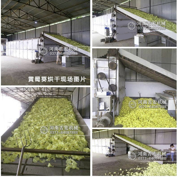 黃蜀葵烘干機(jī)_小型黃蜀葵烘干機(jī)價格_304不銹鋼黃蜀葵干燥機(jī)廠家